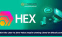 HEX Crypto Currency